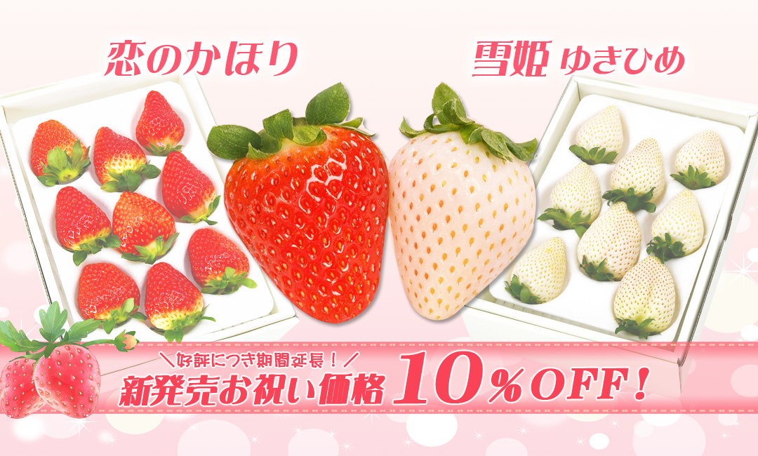 sld_nieno_ichigo_sale_j1080x650.jpg
