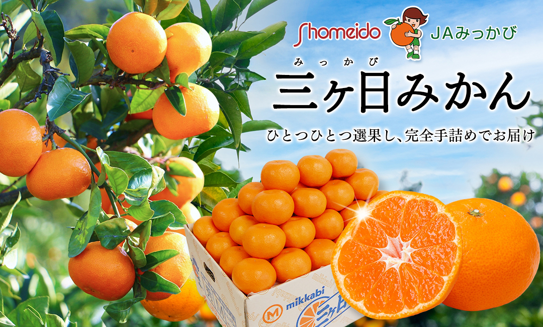 mv_mikan.jpg