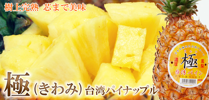 /img/kwp-sid.jpg