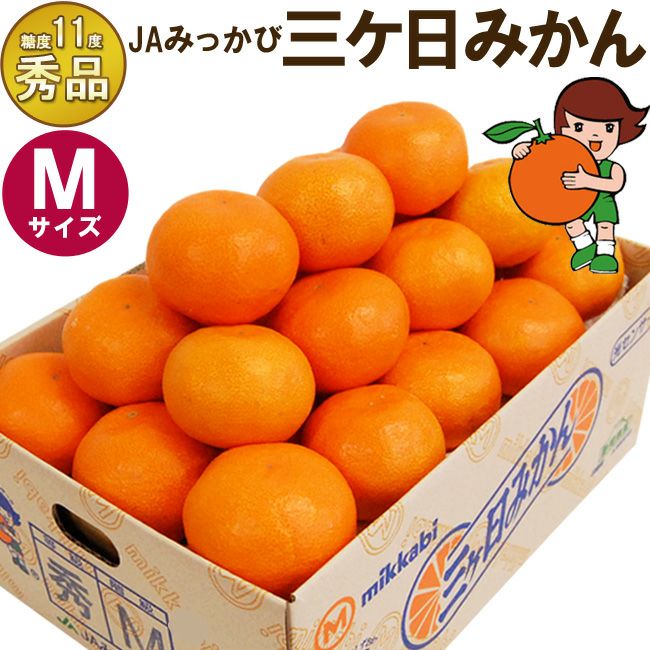 12月中旬までのご発送＞ 三ヶ日みかん 【 秀品 】Mサイズ 3キロ / 4