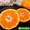 静岡産寿太郎みかん【赤秀品】Mサイズ3キロ