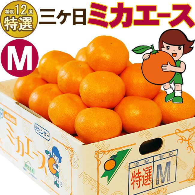 ☆ポイント10倍☆厳選高糖度 三ヶ日みかん ミカエース Mサイズ 特選品