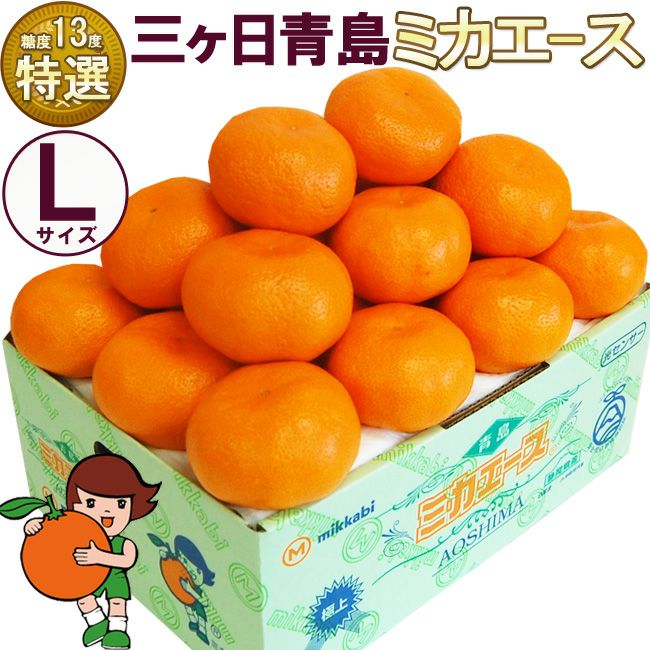 三ケ日みかん【特選品】青島ミカエースLサイズ 3キロ 4キロ