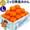 静岡三ヶ日ミカン超美品　青島15キロ現品限り 糖度12度 三ヶ日 青島みかん 【 秀品 】Lサイズ 3キロ 4キロ 8
