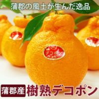 蒲郡産【赤秀品】樹熟デコポン