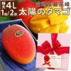 母の日ラッピング付き 宮崎産マンゴー「太陽のタマゴ」(特大3L～4Lサイズ)2個セット