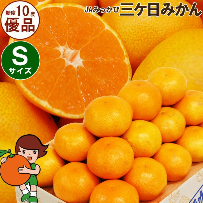 12月中旬までのご発送＞ 三ケ日みかん 【 優品 】 M サイズ 3キロ / 4