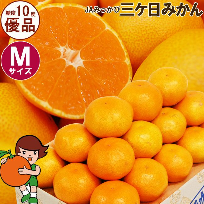 12月中旬までのご発送＞ 三ケ日みかん 【 優品 】 M サイズ 3キロ / 4