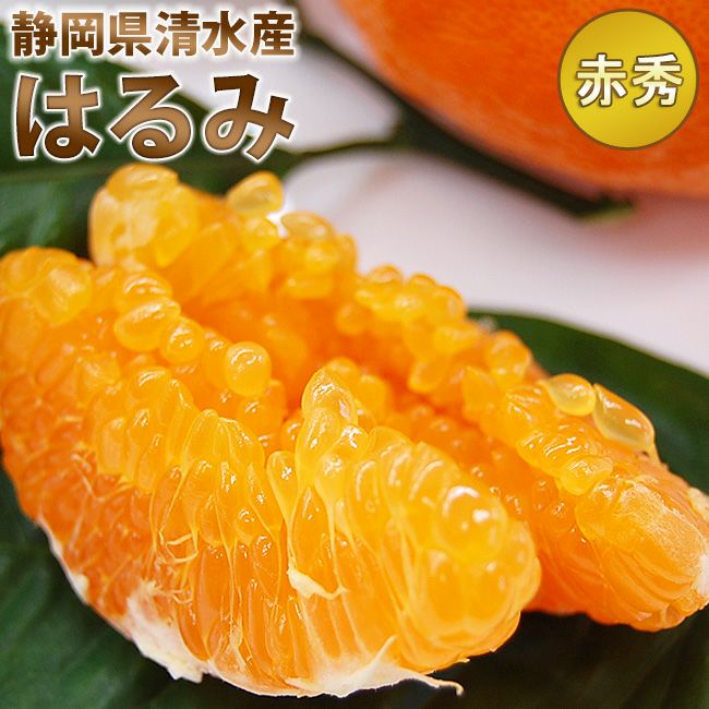 静岡県清水産 はるみ 最高等級【赤秀品】Mサイズ 2キロ / 5キロ 柑橘
