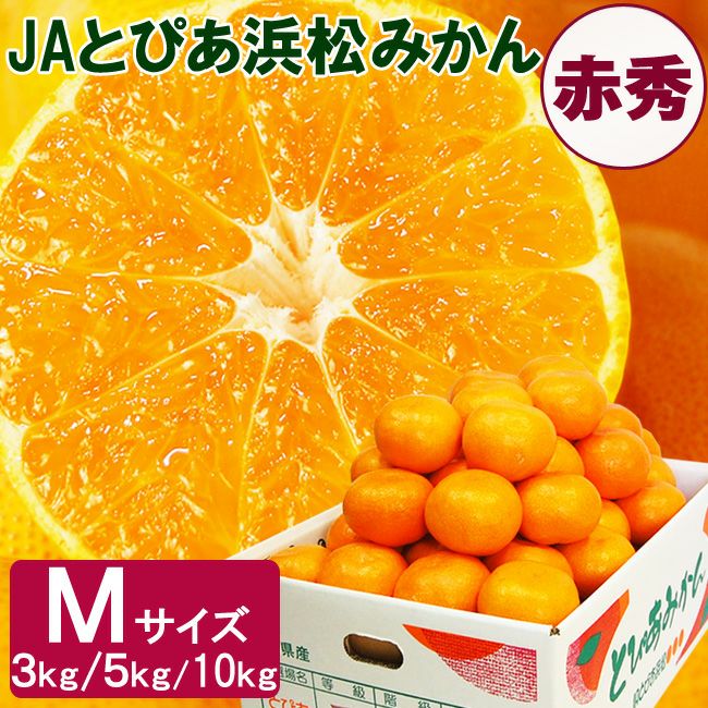 糖度12度 JA とぴあ浜松 みかん【 天下糖一 】 赤秀品 Mまたは S