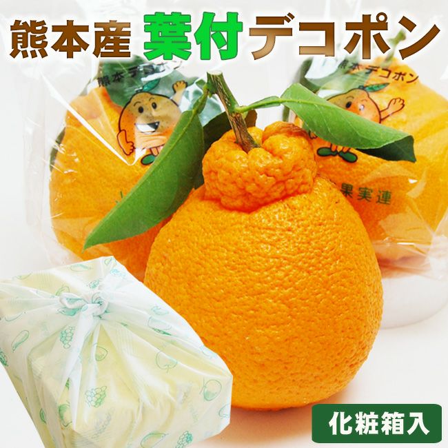 熊本産葉付きデコポン【赤秀品】大玉サイズ6玉【化粧箱入り】