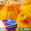 熊本産葉付きデコポン【赤秀品】大玉サイズ15玉【専用ダンボール】