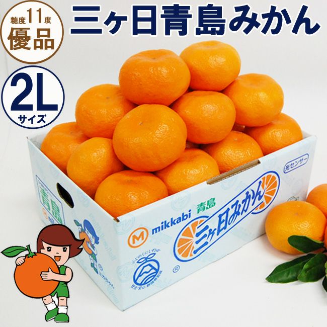 みかん　グッズ確認用 糖度11度 三ヶ日 青島みかん 【優品】2Lサイズ 3.5キロ 7キロ