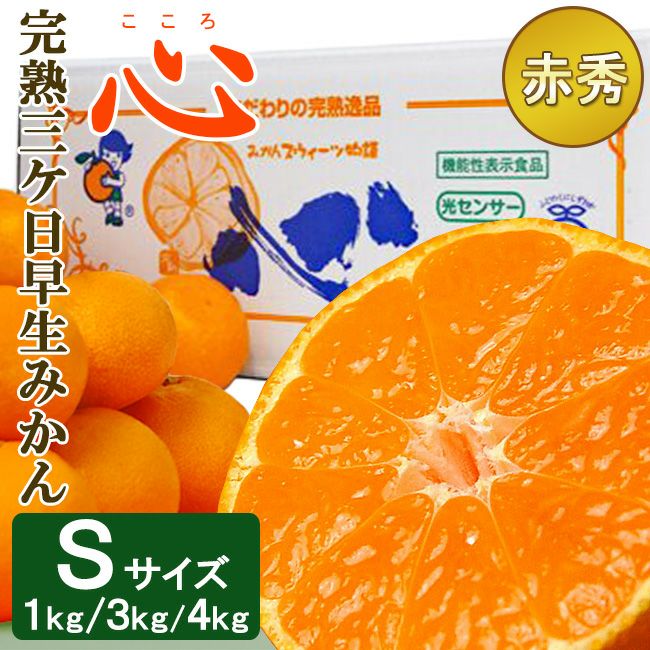 【神楽】【美鬼】【三ケ日みかん】クーガ S シンキング 神楽】【美鬼】【三ケ日みかん】クーガ S シンキング 神楽】【美鬼