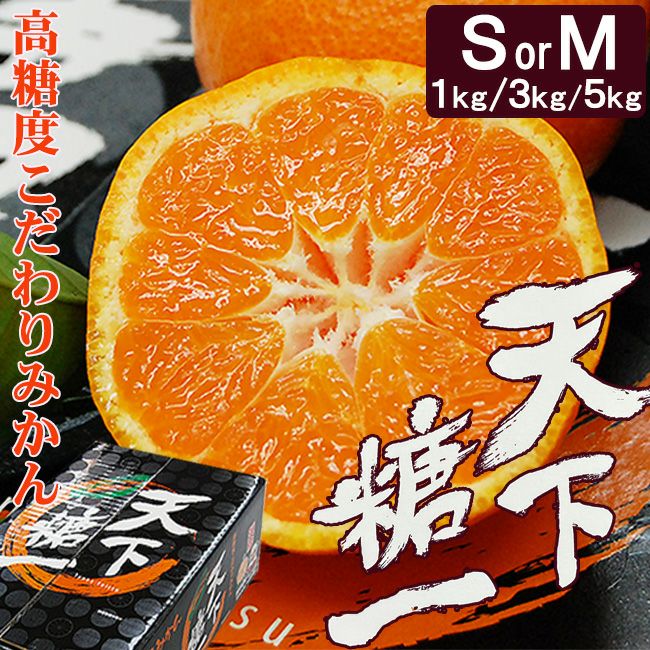 糖度12度 JA とぴあ浜松 みかん【 天下糖一 】 赤秀品 Mまたは S