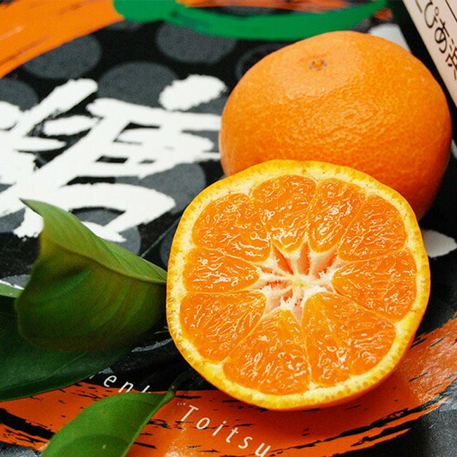 ①みかん JAにしうわ 温州みかん10kg - 愛媛県西予市｜ふるさとチョイス