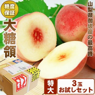 商品一覧 フルーツShomeido（しょうめいどう）ラッピングフルーツもお任せください[静岡 浜松]