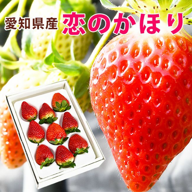 新発売記念価格10％オフ 】 日恵野さんのいちご 「恋のかほり」8～9粒