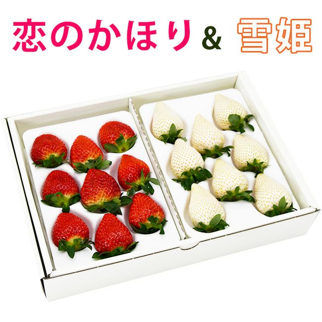 新発売記念価格10％オフ 】 日恵野さんのいちご 食べ比べセット「恋の