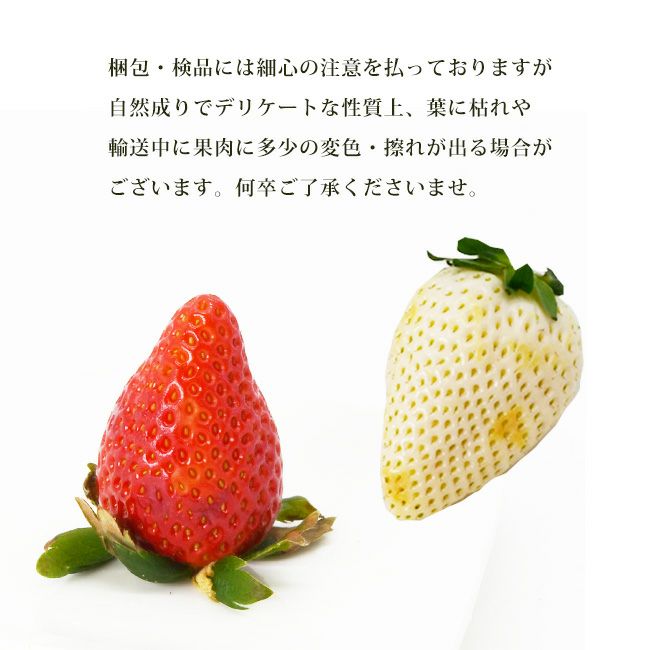 新発売記念価格10％オフ 】 日恵野さんのいちご 食べ比べセット「恋の